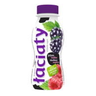 ŁACIATE JOG PITNY JEŻYNA-MAL bez laktozy 0,25L/12