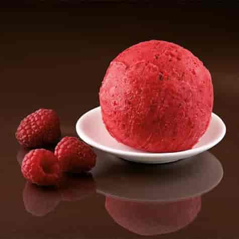 GRYCAN LODY SORBET MALINA KUWETA 5L