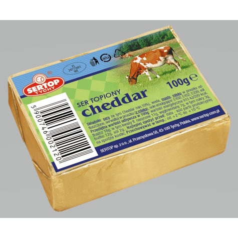 SERTOP SER TOPIONY CHEDDAR 100g/10