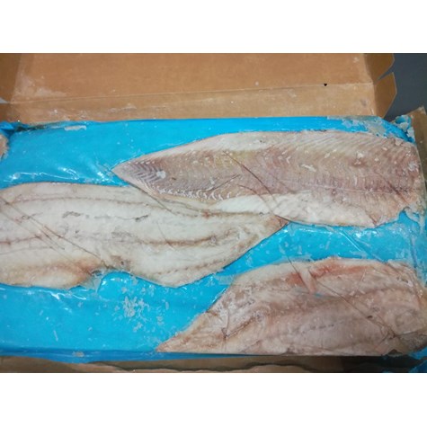 R. DORSZ CZARNIAK FILET 6,81kg B/SK 8-16 SHP