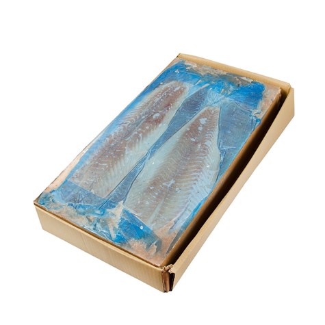 R. DORSZ CZARNIAK FILET 6,81kg B/SK 8-16 SHP