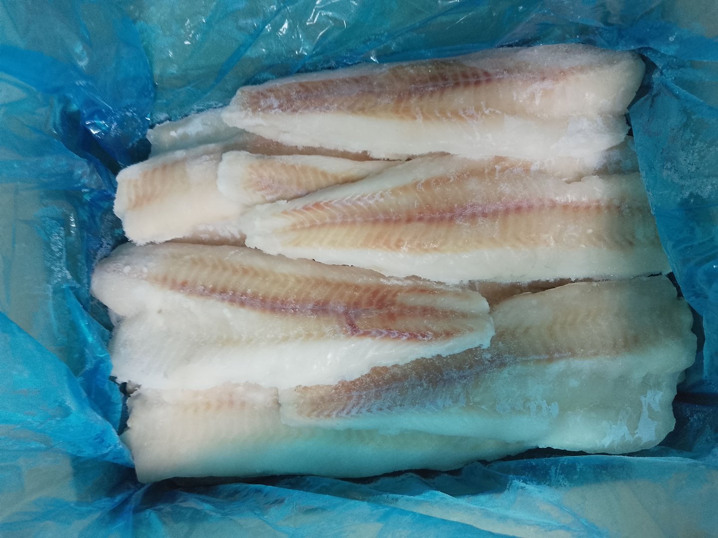 R. MINTAJ FILET BEZ SKÓRY IQF 170g-220g 5kg/4,5kg