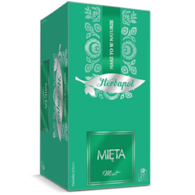 HERBAPOL HERBATA BREAKFAST MIĘTA 20t 34g/6