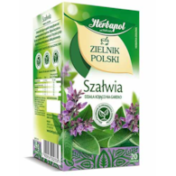 HERBAPOL HERBATA ZIELNIK POL SZAŁWIA 1,2gx20t/12