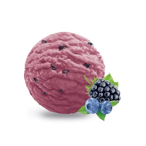 ZIELONA BUDKA LODY OWOCE LEŚNE KUWETA 5L