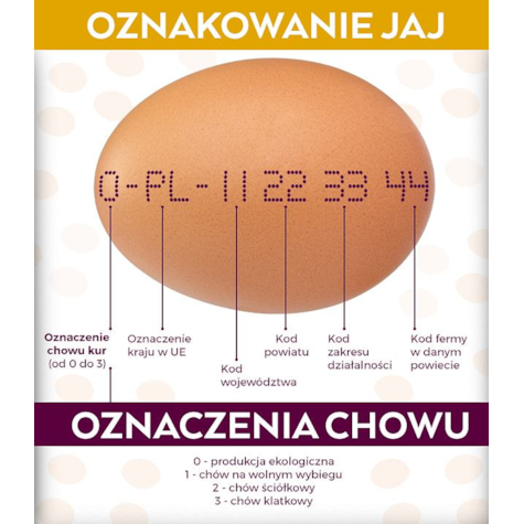 JAJA1 LUZ WOLNY WYBIEG 63g-73g karton 180 szt. L