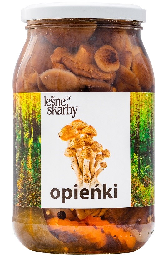 LEŚNE SKARBY OPIEŃKI MARYNOWANE 800g/455g/4