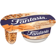 DANONE FANTASIA SOLONY KARMEL 99g/12