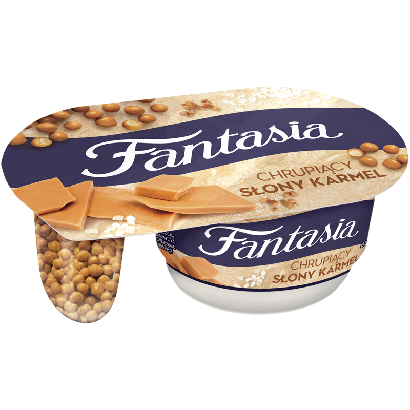 DANONE FANTASIA PREMIUM SŁONY KARMEL 99g/12