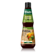 KNORR ESENCJA CYTRUSOWA 0,4L/6