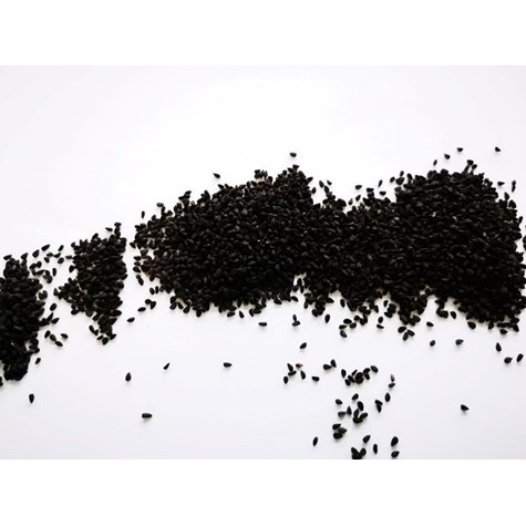 P. CZARNUSZKA 1kg/16