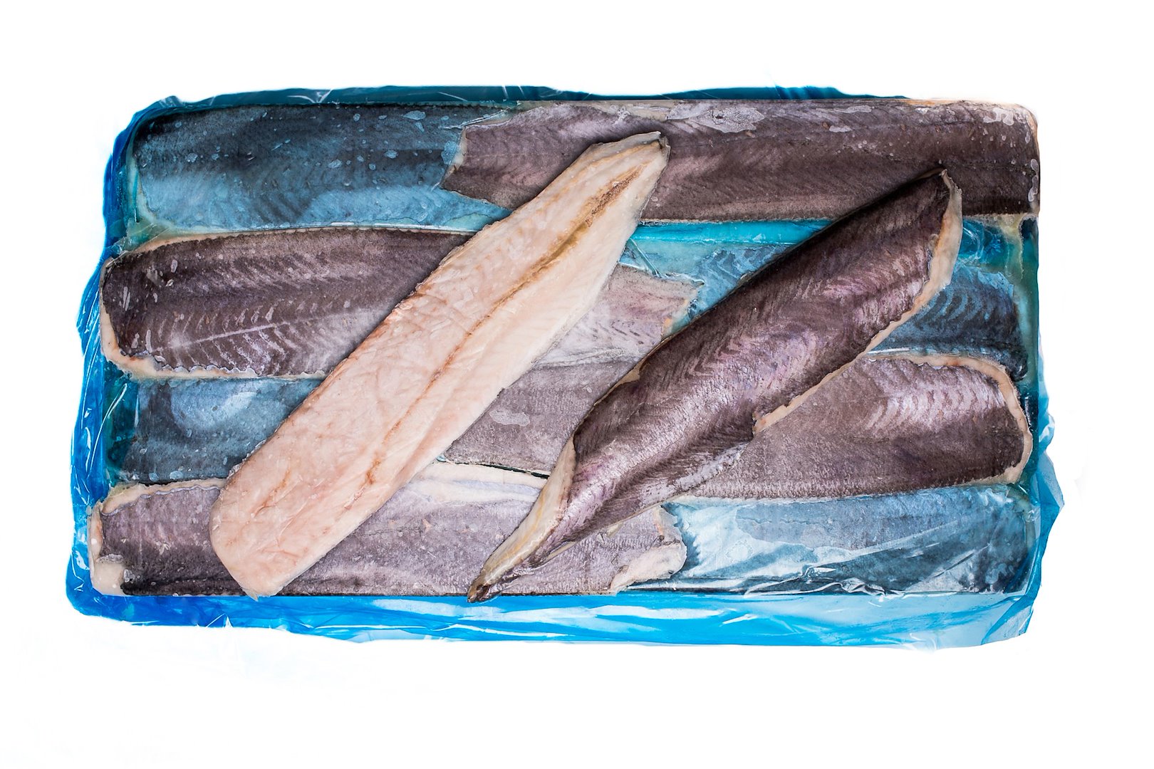 R. MIRUNA FILET ZE SKÓRĄ 225g-340g 6,8kg SHP NZ