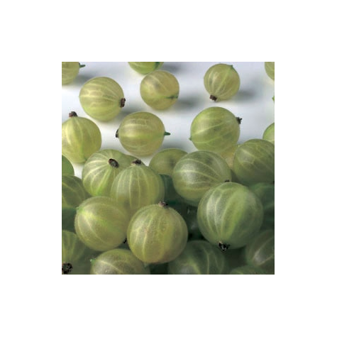 IM AGREST MROŻONY 2,5kg/4