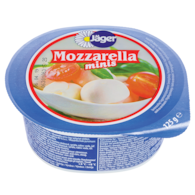 TEMAR MOZZARELLA MINI W SOLANCE 125g/14