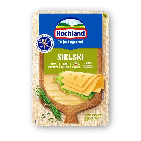 HOCHLAND PLASTRY TWAR b/lak SIELSKI 135g/12