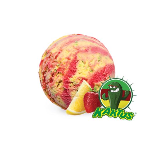 FRONERI LODY KAKTUS KUWETA 5L