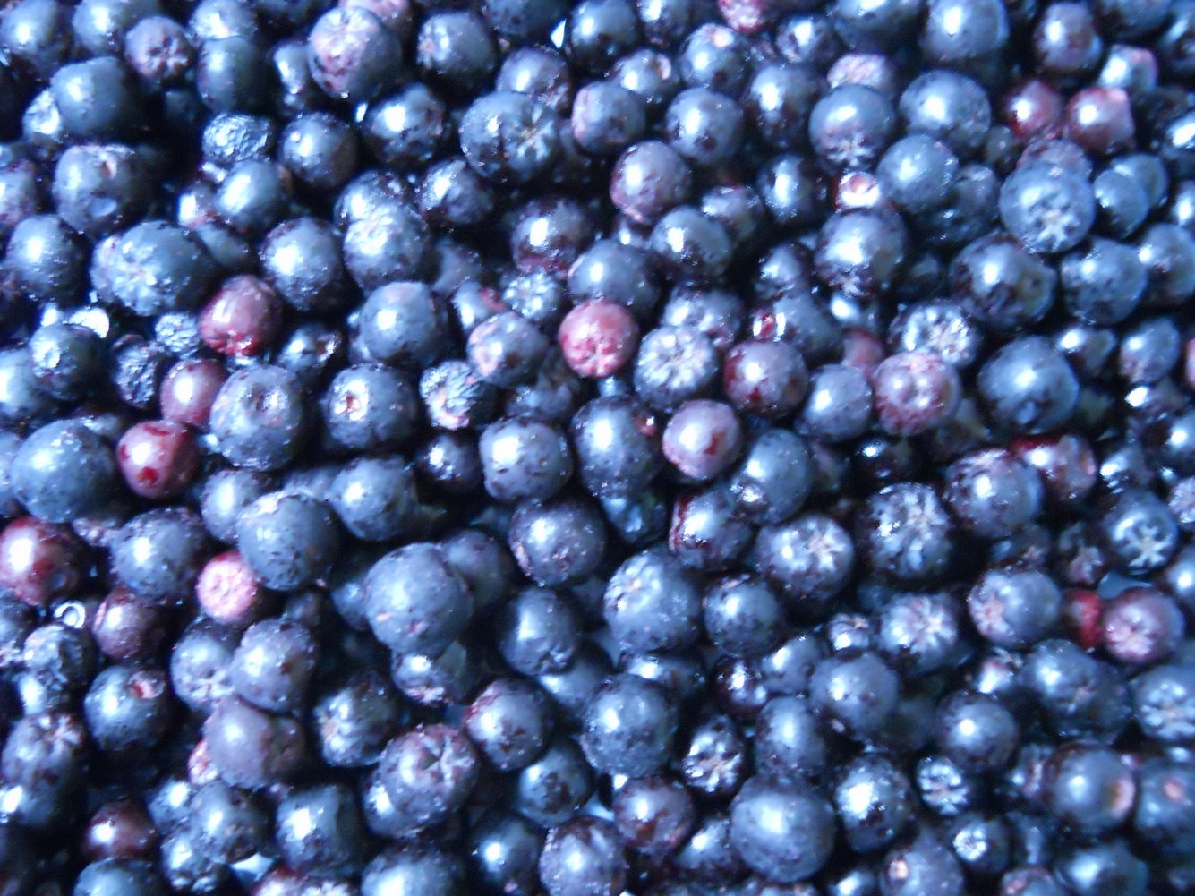 IM ARONIA MROŻONA 2,5kg/4