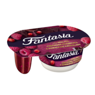 DANONE FANTASIA CZERWONE OWOC Z KAW. CZEK. 116g/12