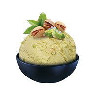 SCHOLLER LODY SŁONA PISTACJA KUWETA 5L