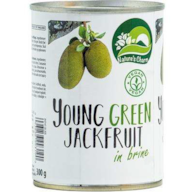 KK JACKFRUIT W KAWAŁ W SŁON ZALEW 565g/300g (24)