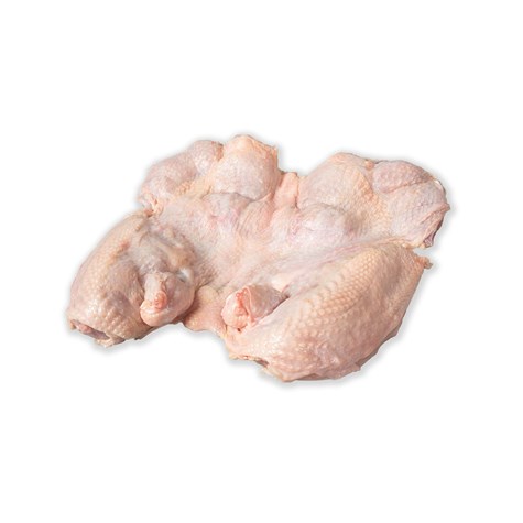 M.DK. KURCZAK TRYBOWANY LUZ ok (1,3kg - 1,6kg)