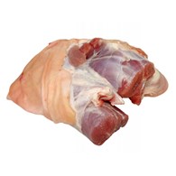 M.WP. GOLONKA PRZEDNIA TRYBOWANA