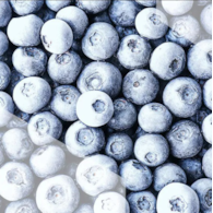 DANEX BORÓWKA AMERYKAŃSKA 1kg/10