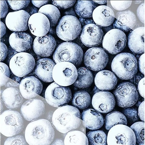 DANEX BORÓWKA AMERYKAŃSKA 1kg/10