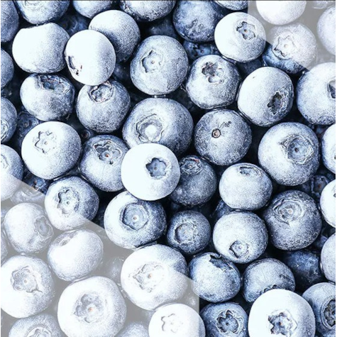 DANEX BORÓWKA AMERYKAŃSKA 1kg/10