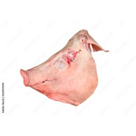 M.WP. GŁOWA WIEPRZOWA LUZ