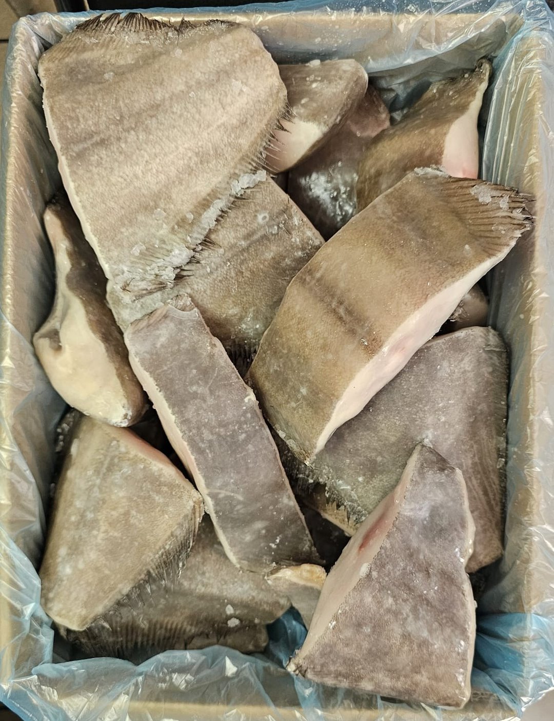 R. HALIBUT NIEBIESKI STEKI 150g-200g  IQF20% 5/4kg