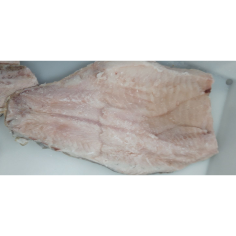R. KARP FILET ZE SKÓRĄ 400g+ IQF 10% 10kg
