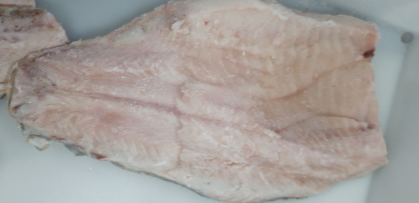 R. KARP FILET ZE SKÓRĄ 400g+ IQF 10% 10kg