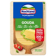 HOCHLAND PLASTRY TWAR b/lak GOUDA 300g/8