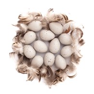 JAJA PRZEPIÓRCZE (18szt.)