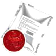 GREEK POMIDORY KROJONE HELCOM 4x5kg (20kg) BiB