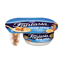 DANONE FANTASIA GRECKA Z ORZECHAMI 100g/12