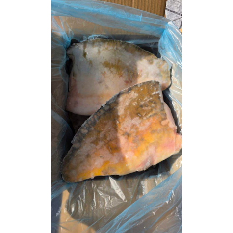 KARP FILET ZE SKÓRĄ 300-600g IQF 20% 5/4kg PL