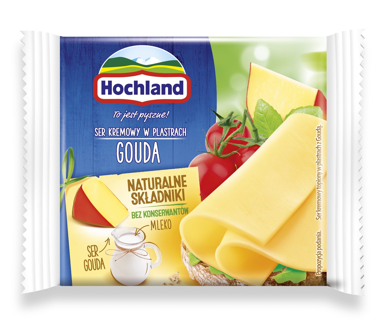 HOCHLAND PLASTRY TOPIONE GOUDA 130g/10