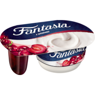 DANONE FANTASIA WIŚNIA 118g/12