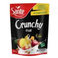 SANTE CRUNCHY OWOCOWE 350g/14