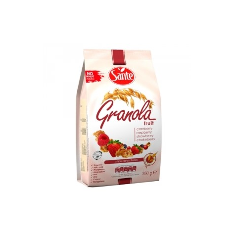 SANTE GRANOLA OWOCOWA 350g (14)