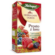 HERBAPOL HERBATA HERB OG PROST Z LASU 20tor 50g/10