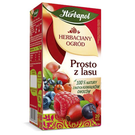 HERBAPOL HERBATA HERB OG PROST Z LASU 20tor 50g/10