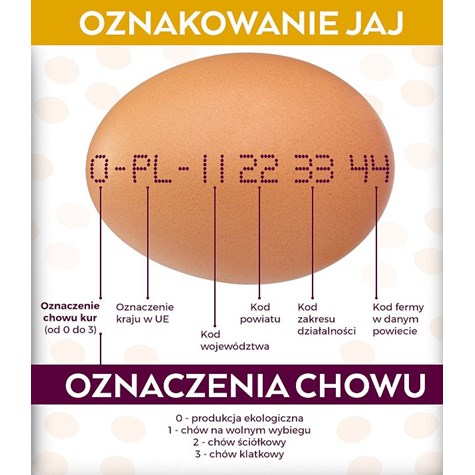 JAJA KRÓLEWSKIE XL (10)